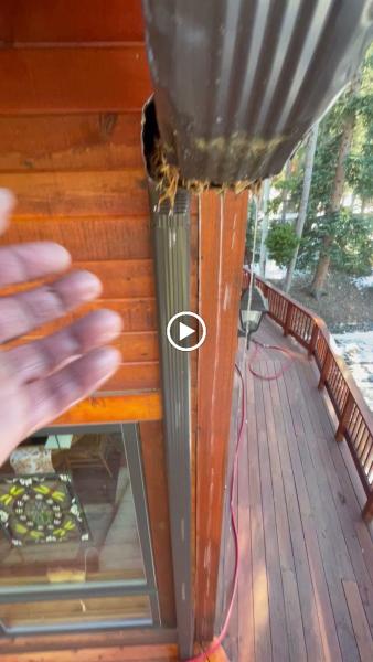 Sunset Hill Window Cleaning