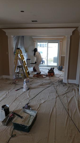 Essential Painting Plus