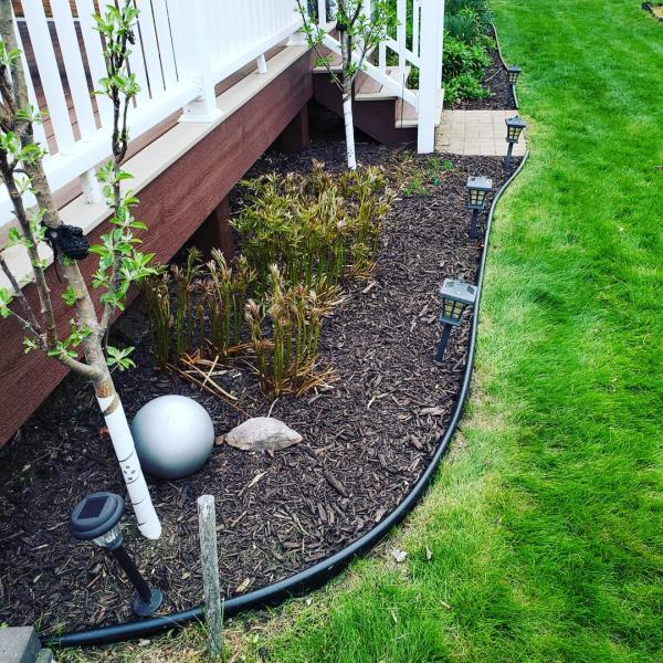 Soloscape Lawn & Landscape