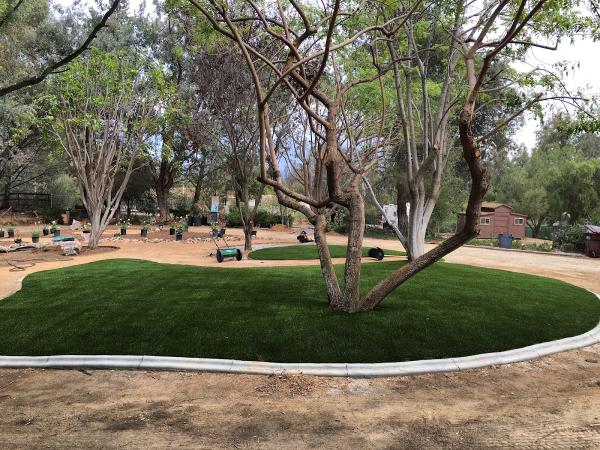 Action Landscape Contractor