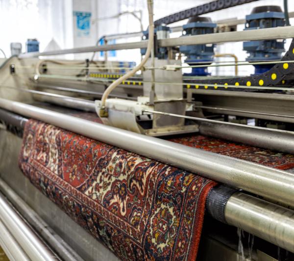 Chase Carpet Care