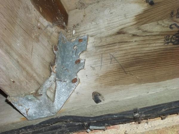 Ace Inspection Services