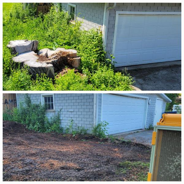 Racine Stump Grinding