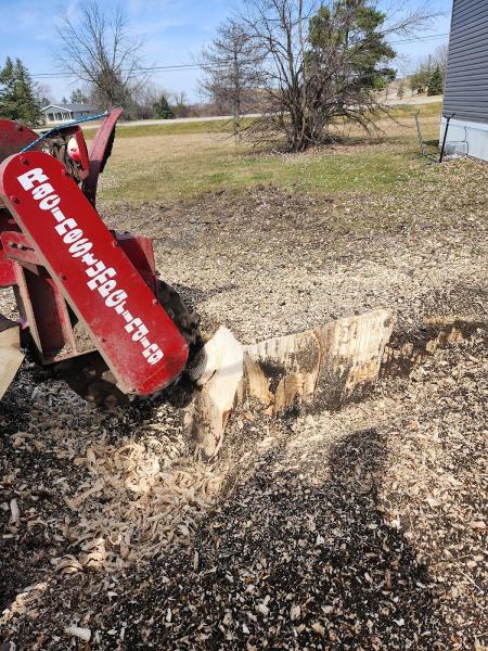 Racine Stump Grinding