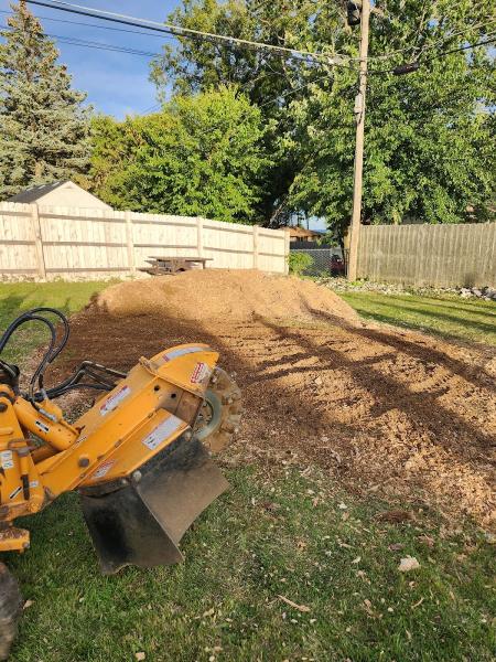 Racine Stump Grinding