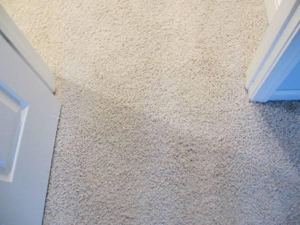 Eco Green Steam Carpet Cleaning