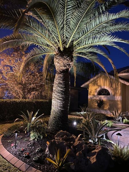 Sama Landscape Service