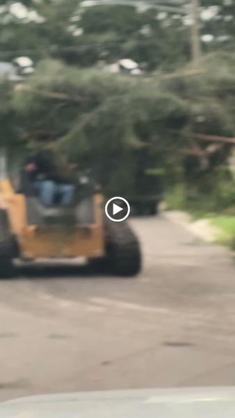 On Demand Tree Service