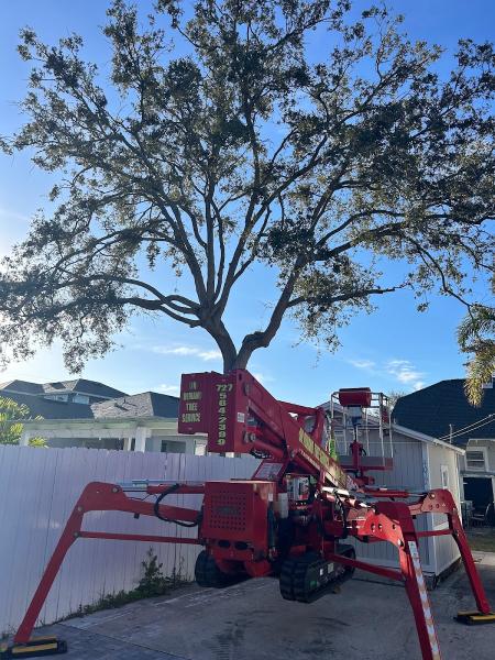 On Demand Tree Service