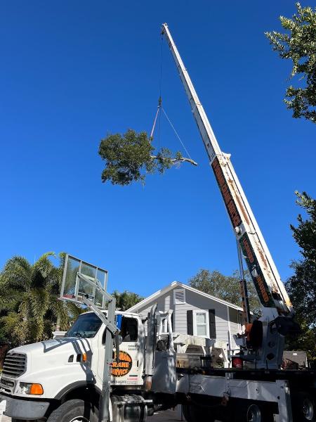 On Demand Tree Service