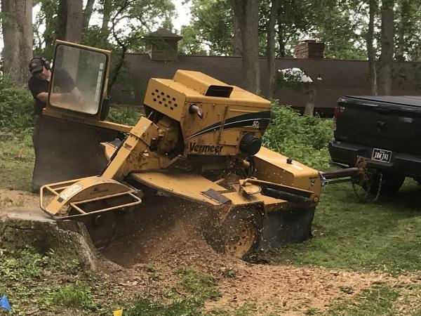 Ace Stump Removal