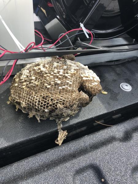 First Class Pest Control