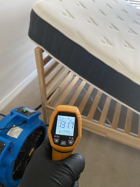 Eco Bed Bug Exterminators Baltimore