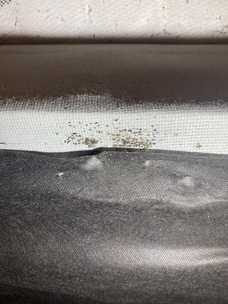 Eco Bed Bug Exterminators Baltimore