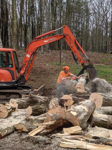 Chad's Tree Service