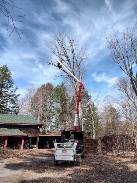Black River Tree Service
