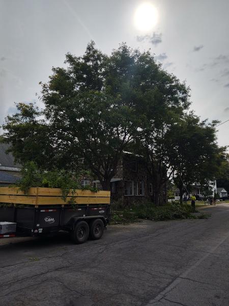Black River Tree Service