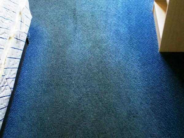 Green Living Floor Care