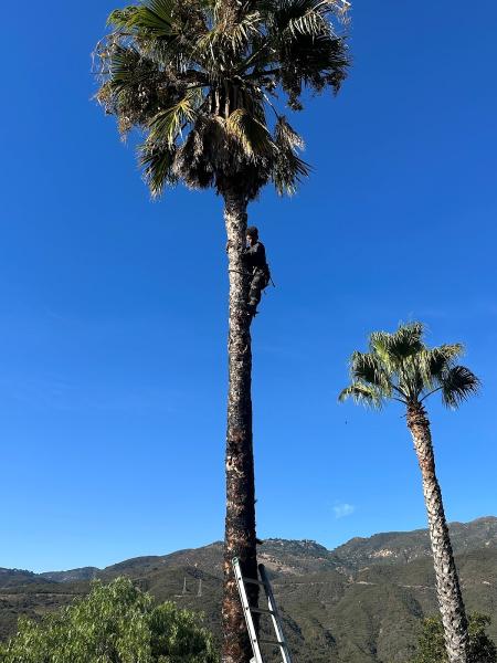 Superior Landscaping and Property Maintenance