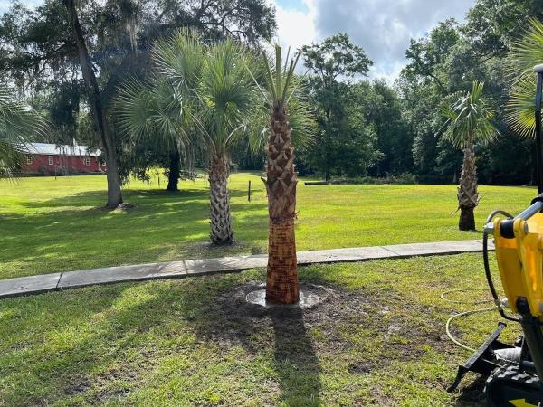 Marion Precision Lawn & Landscape