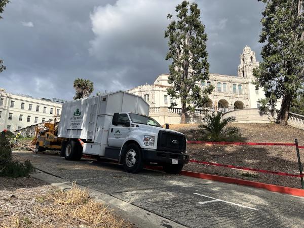 JMV Tree Service Corp