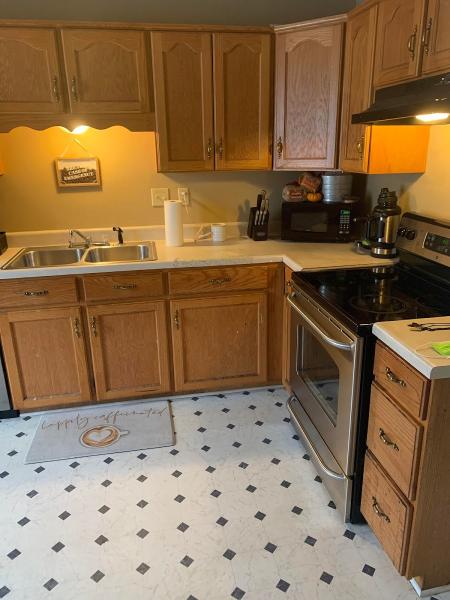 Thecleaninglady901
