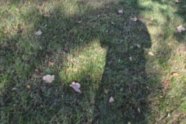 Flores Landscaping LLC