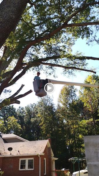 Out On A Limb Tree Service