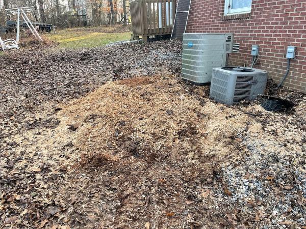 Piedmont Stump Removal