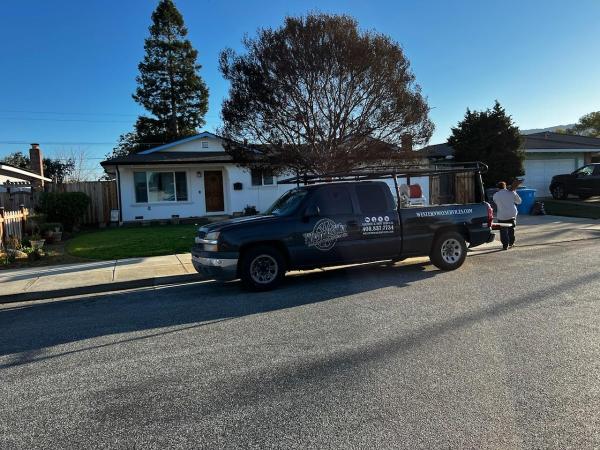 Western Way Termite and Pest Services Inc.