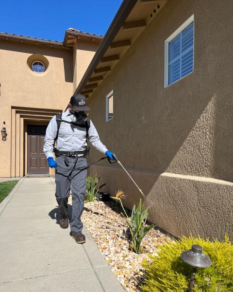 Western Way Termite and Pest Services Inc.