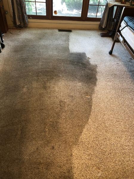 MB Prestige Upholstery and Carpet Cleaning