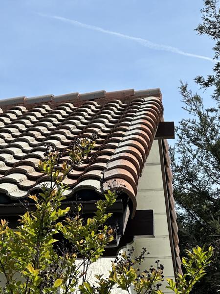 Pinnacle Pressure Washing & Roof Cleaning