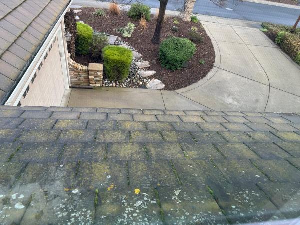 Pinnacle Pressure Washing & Roof Cleaning