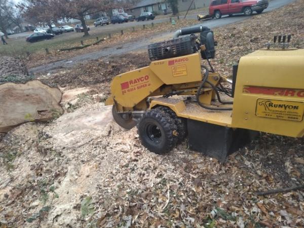 Walt's Affordable Tree Care