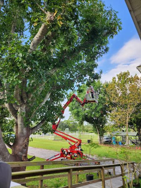 Legends Tree Experts