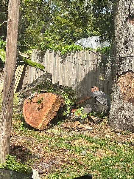 Legends Tree Experts