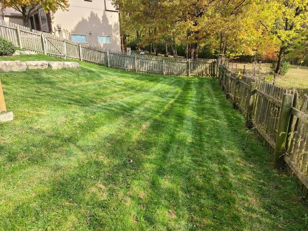 Nllp Lawn Care