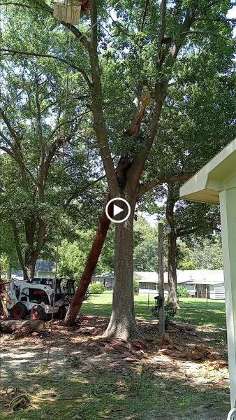 Advantage Tree Service