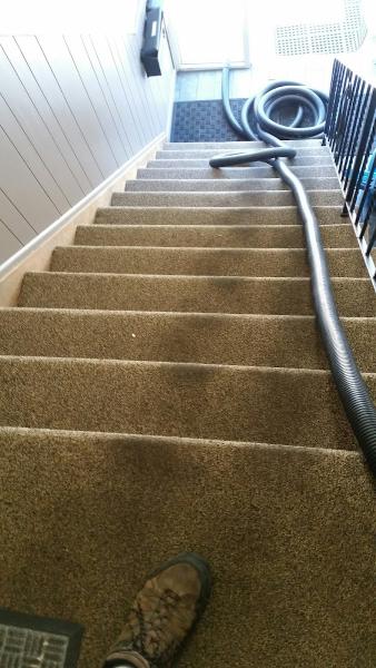 Mr. K's Carpet Service