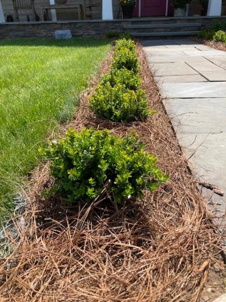 Greenearth Landscapes LLC