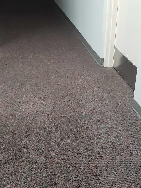 Northeast Carpet Cleaning