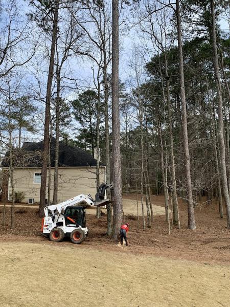 Ricardo's Tree Service