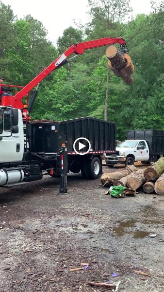 Ricardo's Tree Service