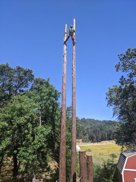 Jose's Tree Service Inc