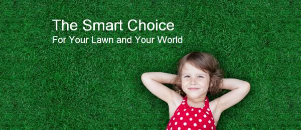 Nexgreen Lawn and Tree Care