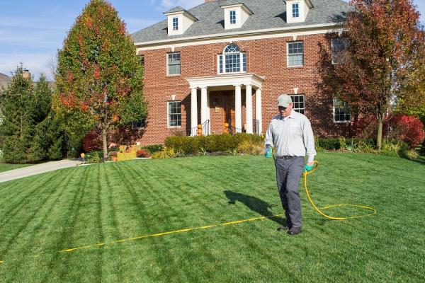 Nexgreen Lawn and Tree Care