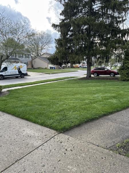 Nexgreen Lawn and Tree Care