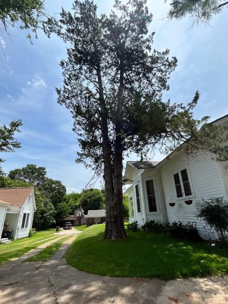Garcia Tree Services