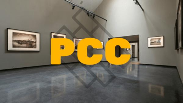 Professional Concrete Coatings